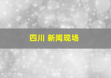 四川 新闻现场